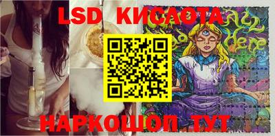Альфа ПВП Сланцы