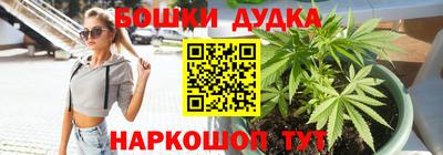 Альфа ПВП Сланцы