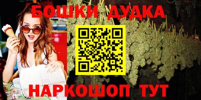 Альфа ПВП Сланцы