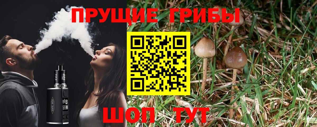 Галлюциногенные грибы мухоморы Новодвинск