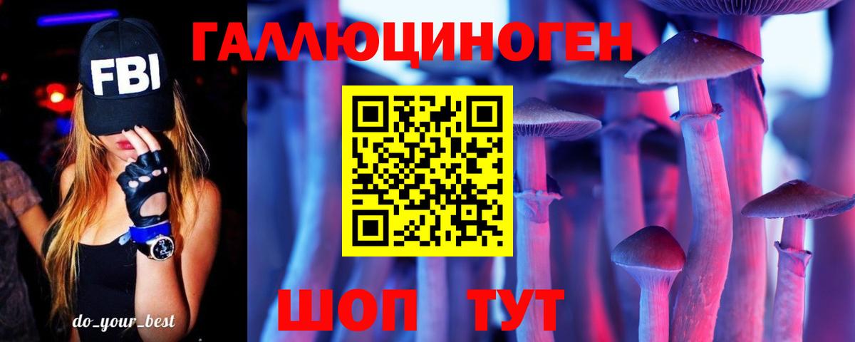 Новодвинск  Псилоцибиновые грибы Psilocybe  Вход с VPN 